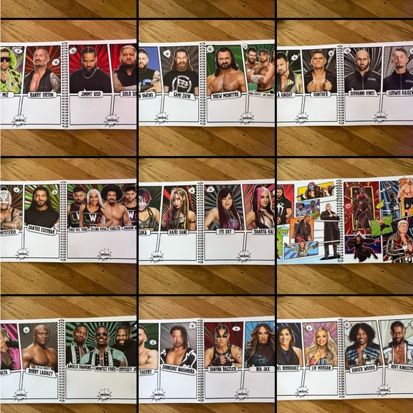 WWE VIP experience package - Picture 10 of 11